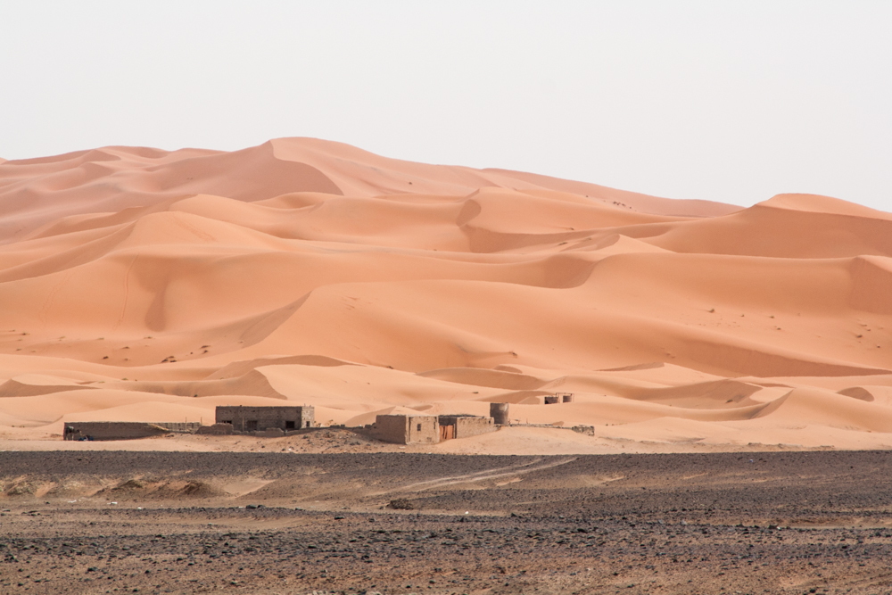 Las dunas

